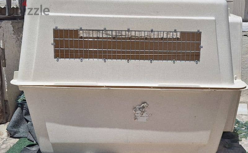 dog travel box 2
