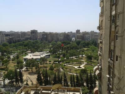 دوبلكس في مدينة نصر يطل على حديقة الطفل ٢٤٠م
