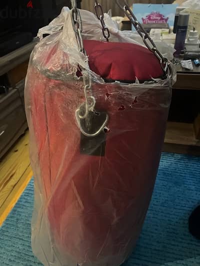 punching bag