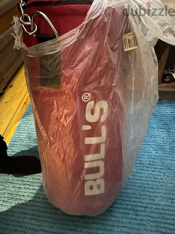 punching bag 1