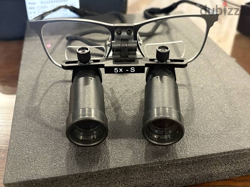 Ergovision 5x Loupes 2