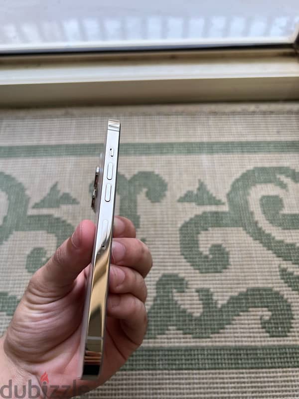 iphone 13 pro 1