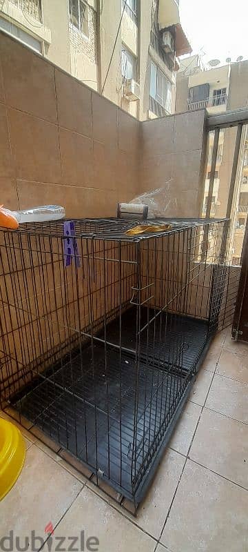 dog cage