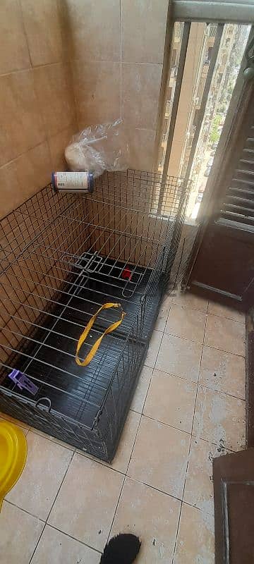 dog cage 1