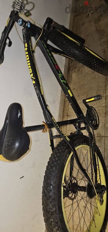 Mountain Bike