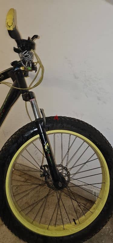 Mountain Bike 1