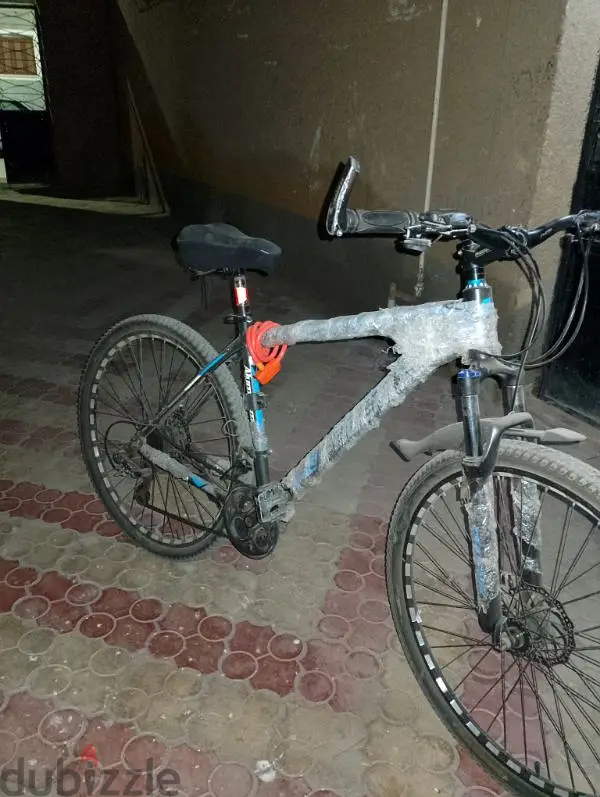phoenix 2965568824795138121