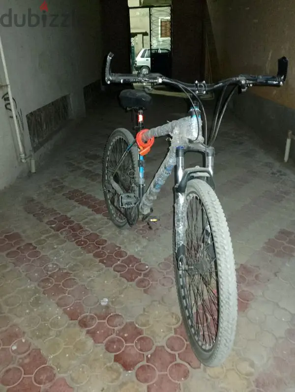 phoenix 2965568824795138123