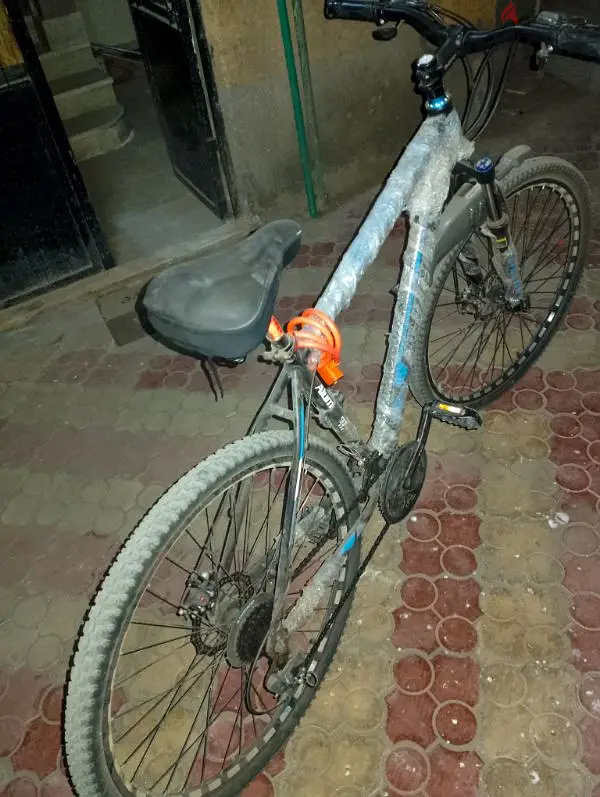 phoenix 2965568824795138124