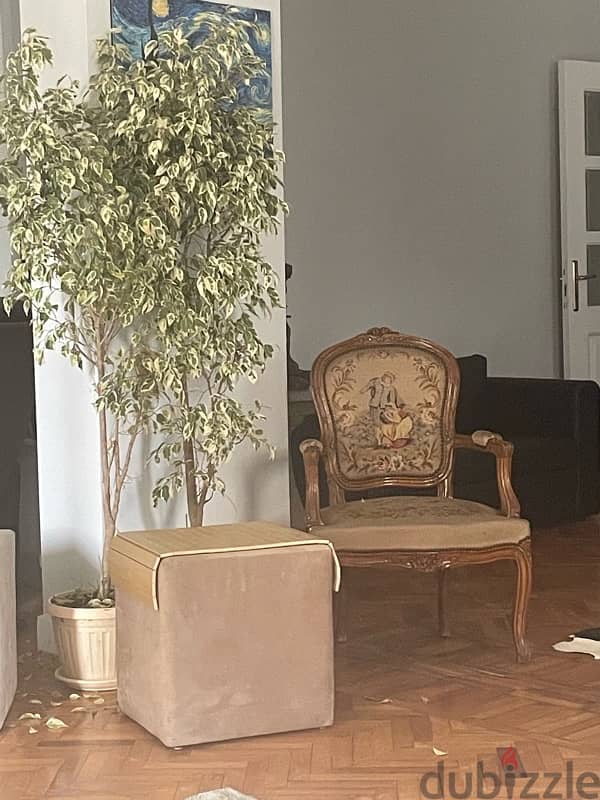 antique French Obesson chairs 1