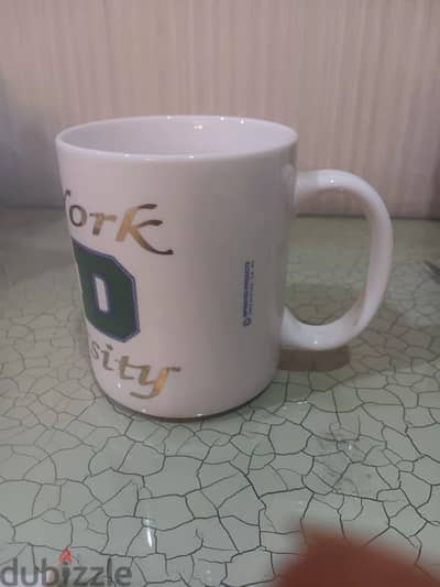 مج خريجى جامعة نيويورك