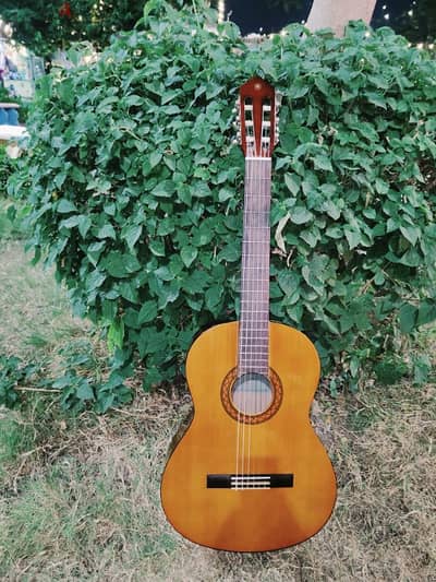 guitar Yamaha c40 c 40 جيتار ياماها