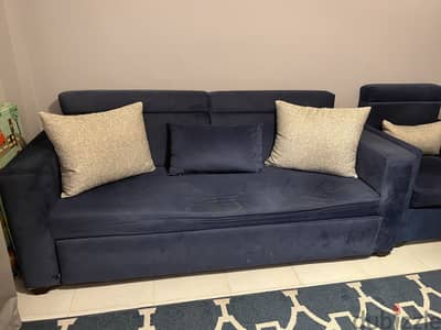 3 seater+2 chair (free cushions)
