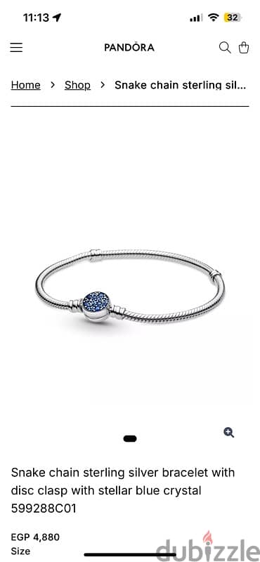 Pandora Bracelet