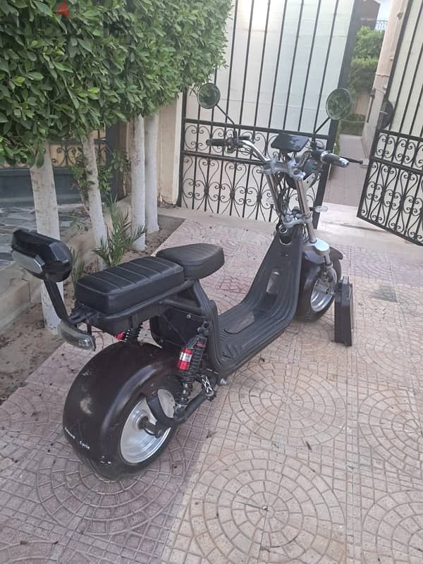Big Harley Scooter 4