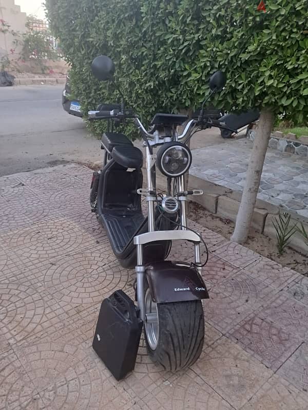 Big Harley Scooter 5