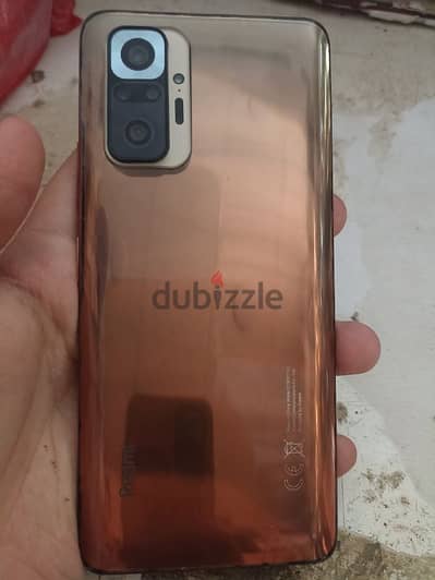 بنها القليوبية