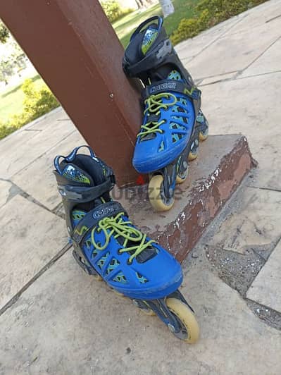cougar 308n skate