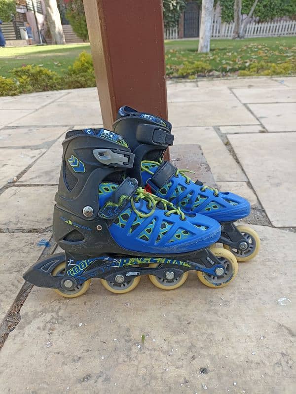 cougar 308n skate 2