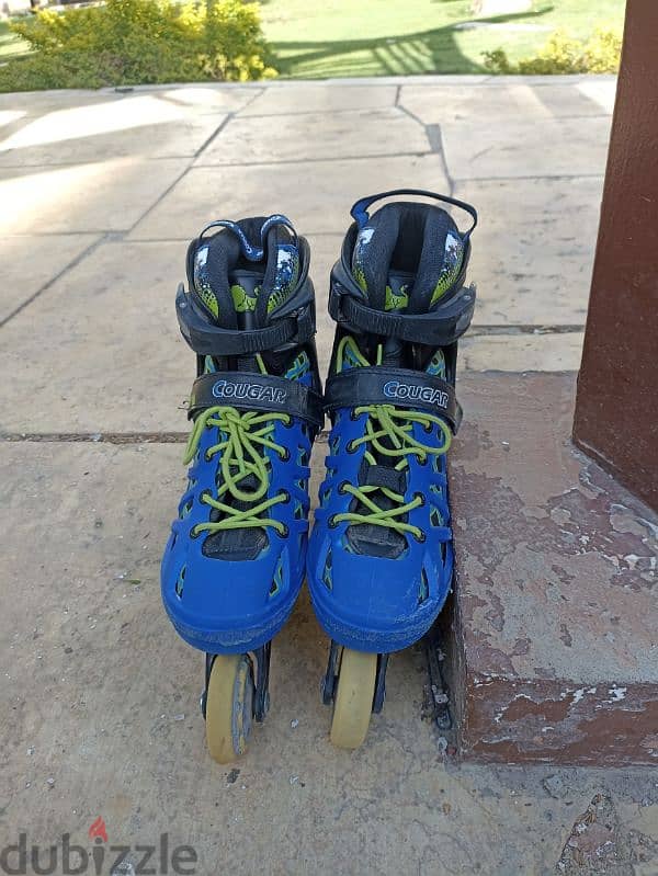 cougar 308n skate 3