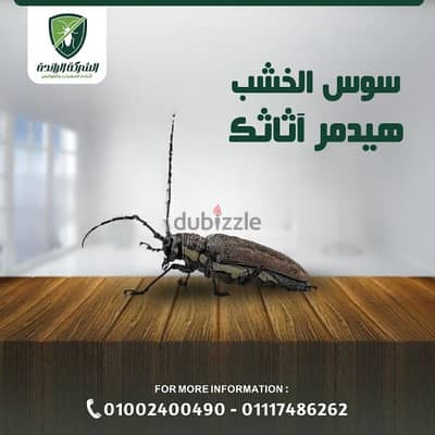 شركة مكافحة حشرات المنزل