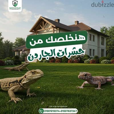 افضل شركة اباده جميع انواع الحشرات والقوارض