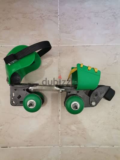 2 in 1 skate