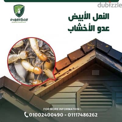 رش حشرات المنزل