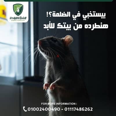 رش وتعقيم حشرات المنزل