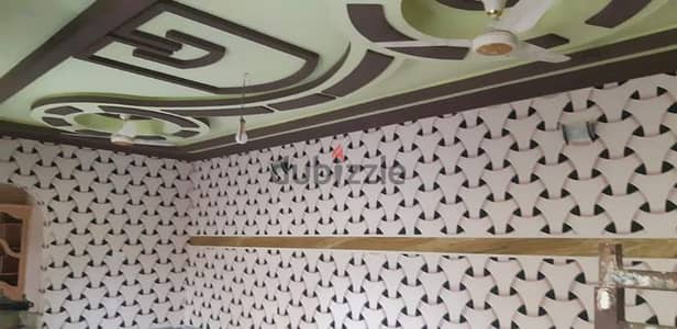 نقاش مصر الجديده