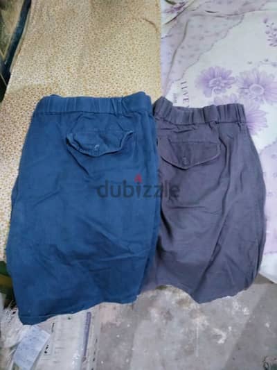 العامرية الإسكندرية