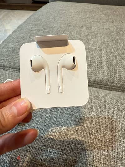 Headphone Apple