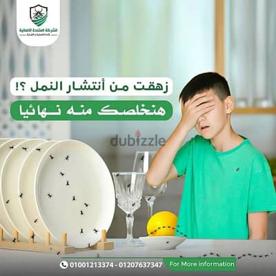افضل مبيدات التخلص من النمل نهائي