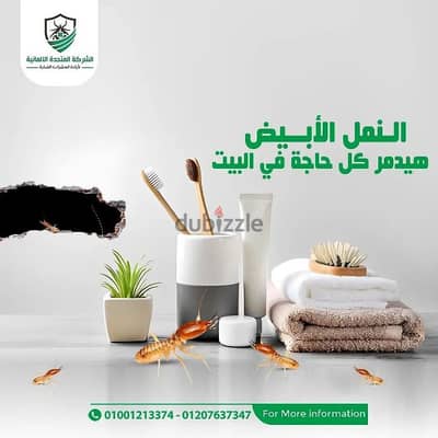 النمل الابيض هيدمر كل حاجه في المنزل تخلص منه نهائي