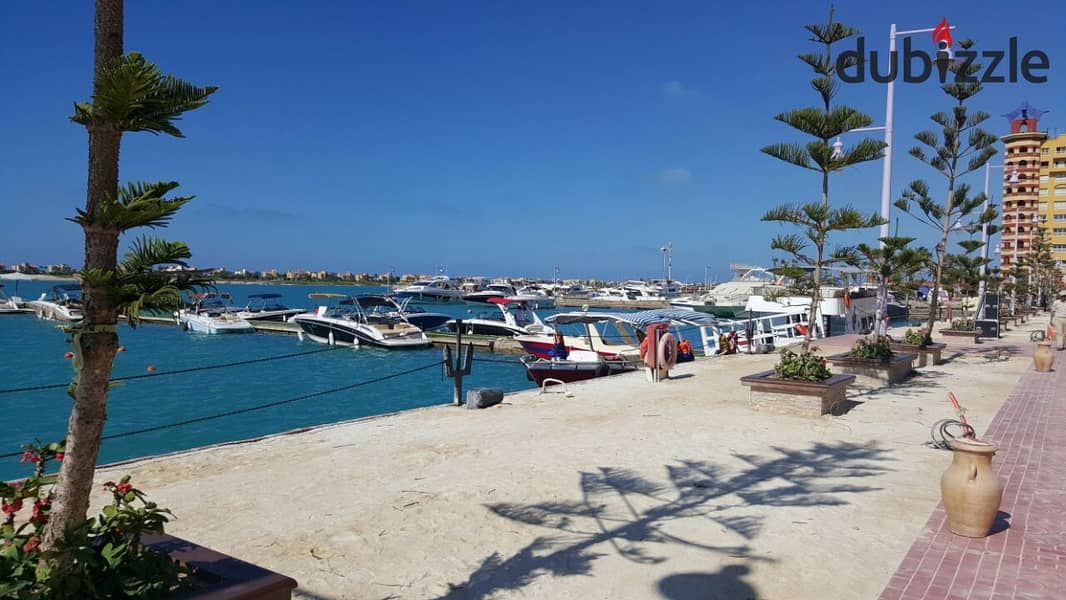 شاليه بغرفتي نوم في بورتو مارينا، صورة ١٢ من ١٤