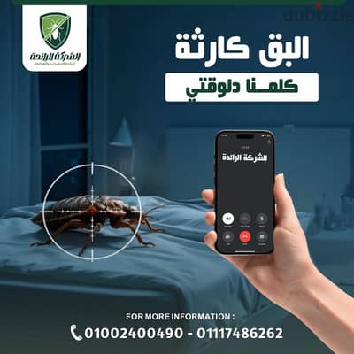 رش مبيدات الحشرات في المنزل