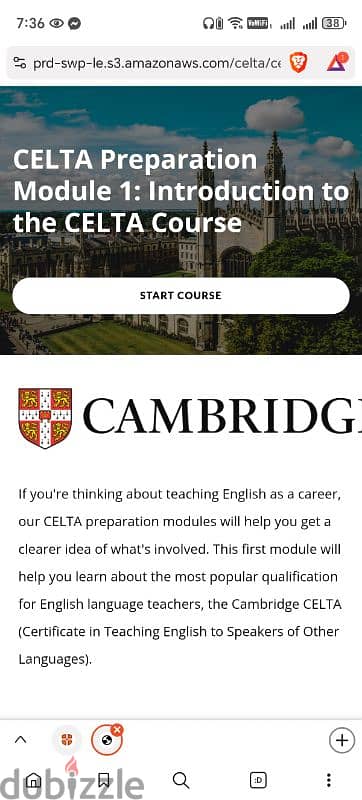 Online English instructor