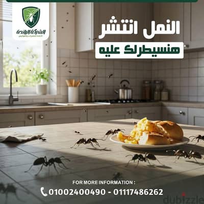 رش مبيدات حشرات المنزل بمصر