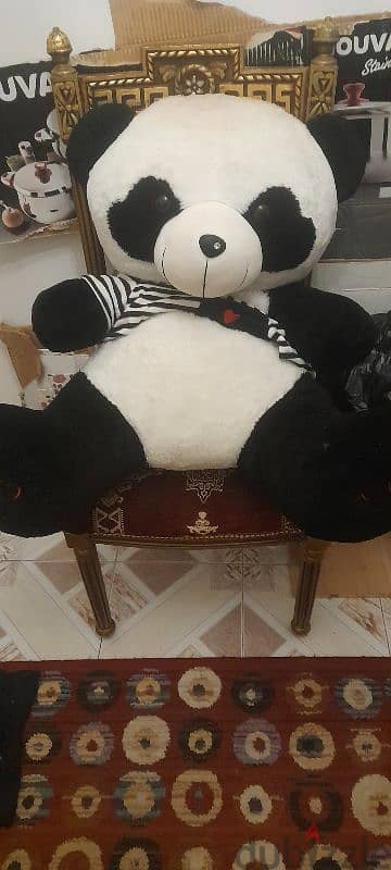 باندا ٦٠×٨٠
