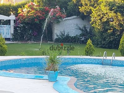 فيلافاخره قصر بكريرتسع عائلات جروبات أعداد  ببسن كبير وبسكت وقدم وفولى
