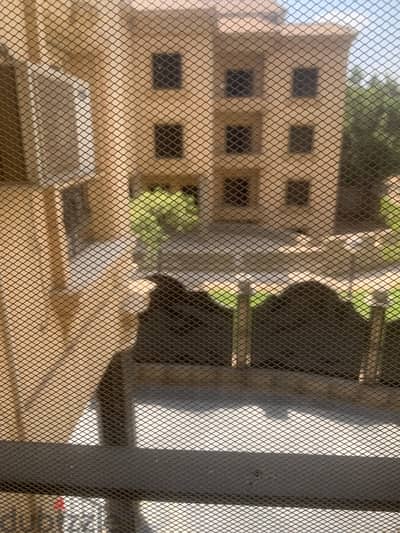 عازل لي الدبان