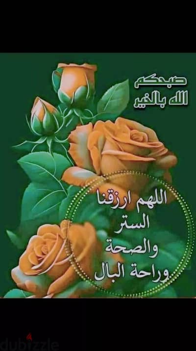 فردة كاوتش مستعملة
