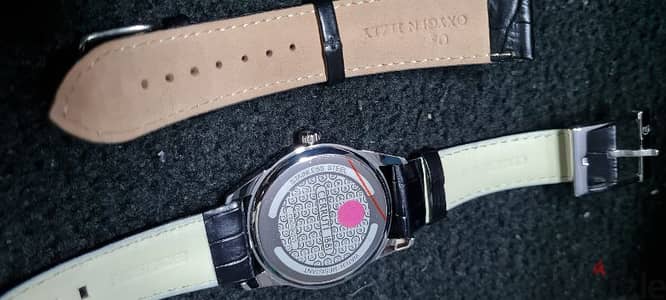 Cerruti 1881