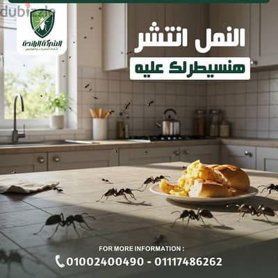 رش مبيدات حشرات المنزل
