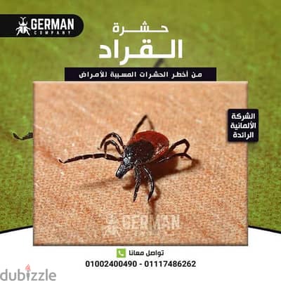 رش مبيدات حشرات المنزل