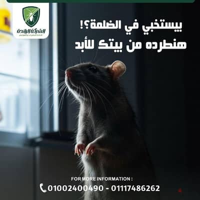 مكافحة وتطهير حشرات المنزل
