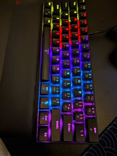 white shark keyboard