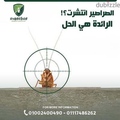 مكافحة ورش حشرات المنزل بمصر