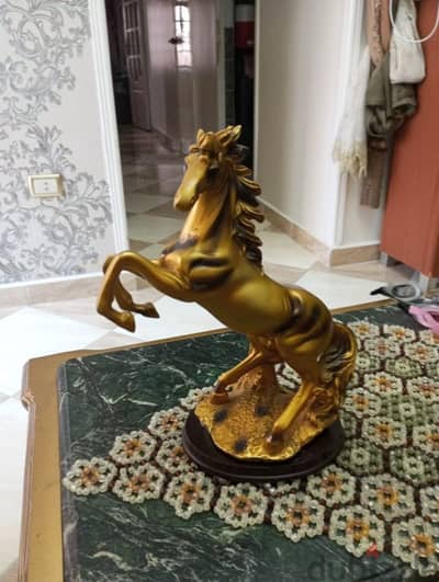 بيع حصان