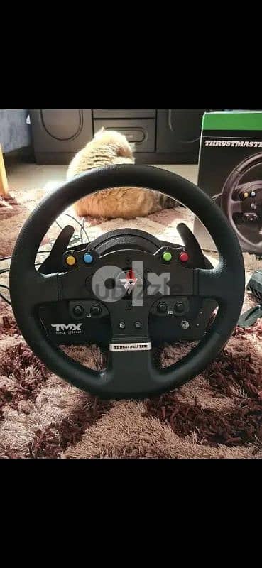 Thrustmaster TMX 1
